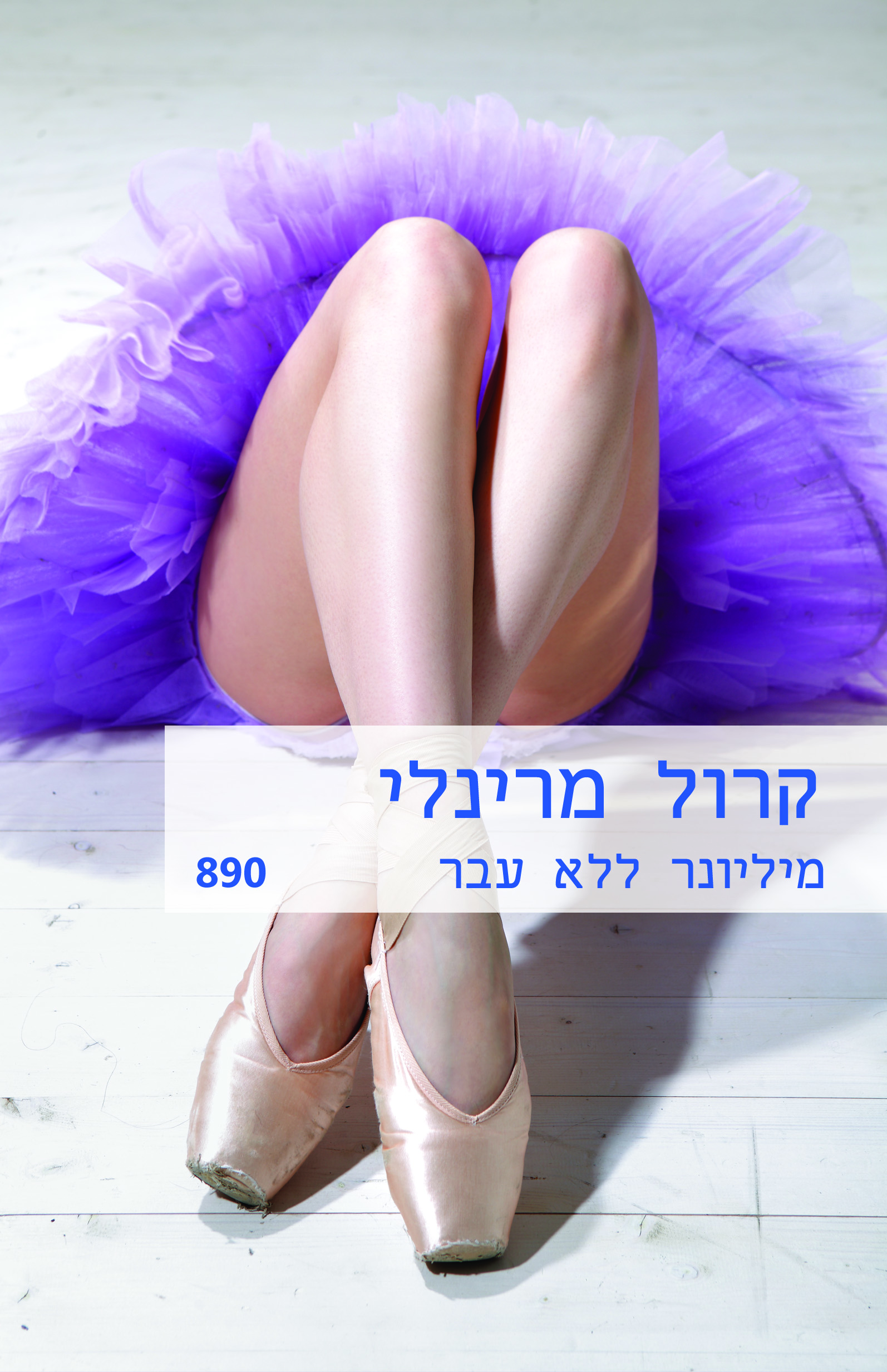 מיליונר ללא עבר (890)